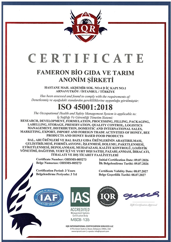 ISO 45001 certificate